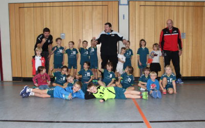 Minihandballturnier des VFR Bibergau am 23.11.2019