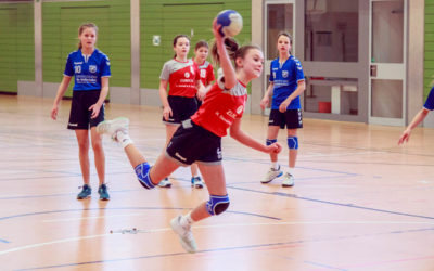 D Weiblich: TV Gerolzhofen – TG Höchberg 12:28 (5:15)